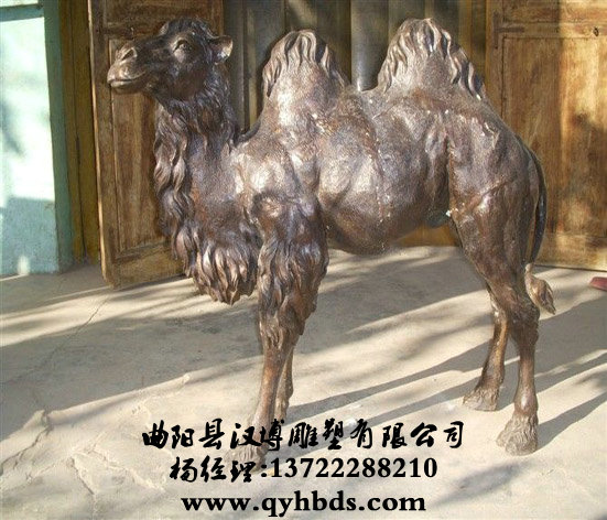 �����ֵ��ܳ���